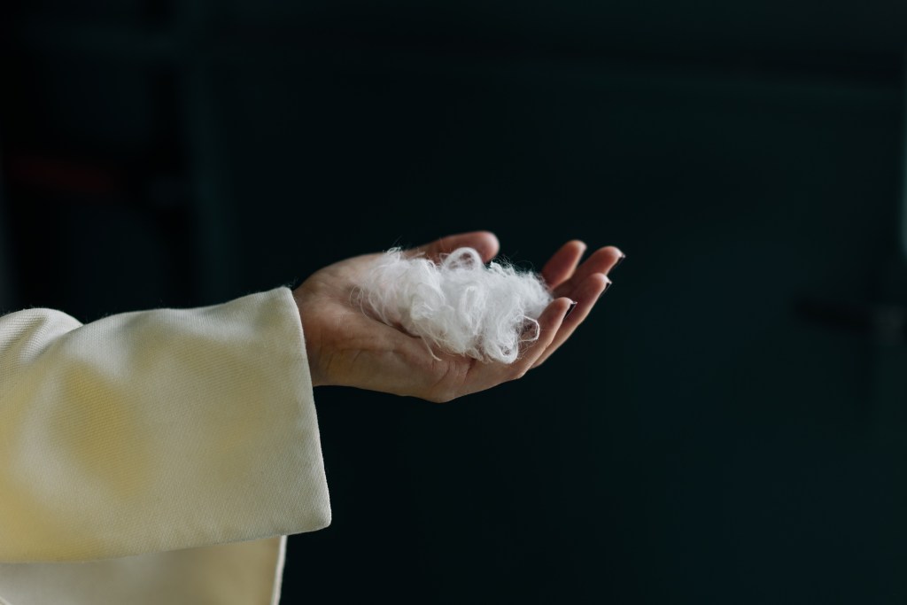 Everbloom built an AI to turn chicken feathers into cashmere