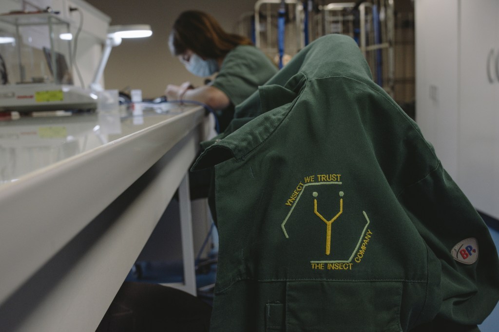 How reality crushed Ÿnsect, the French startup that had raised over $600M for insect farming