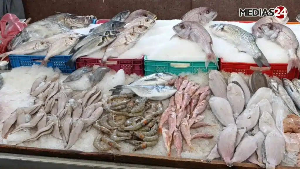 Zakia Driouich Commits to Frozen Sardine Pricing Starting at 13 DH